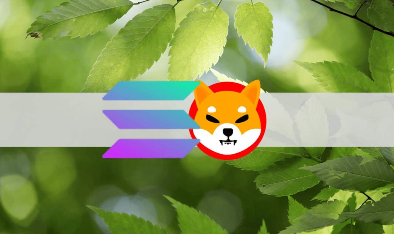 SHIB, Solana ve XRP: Haftaya Bu Düzeyler Görülebilir!