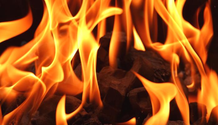 SHIB ve Bu 2 Altcoin’de Burn Çılgınlığı: İşte Olanlar!