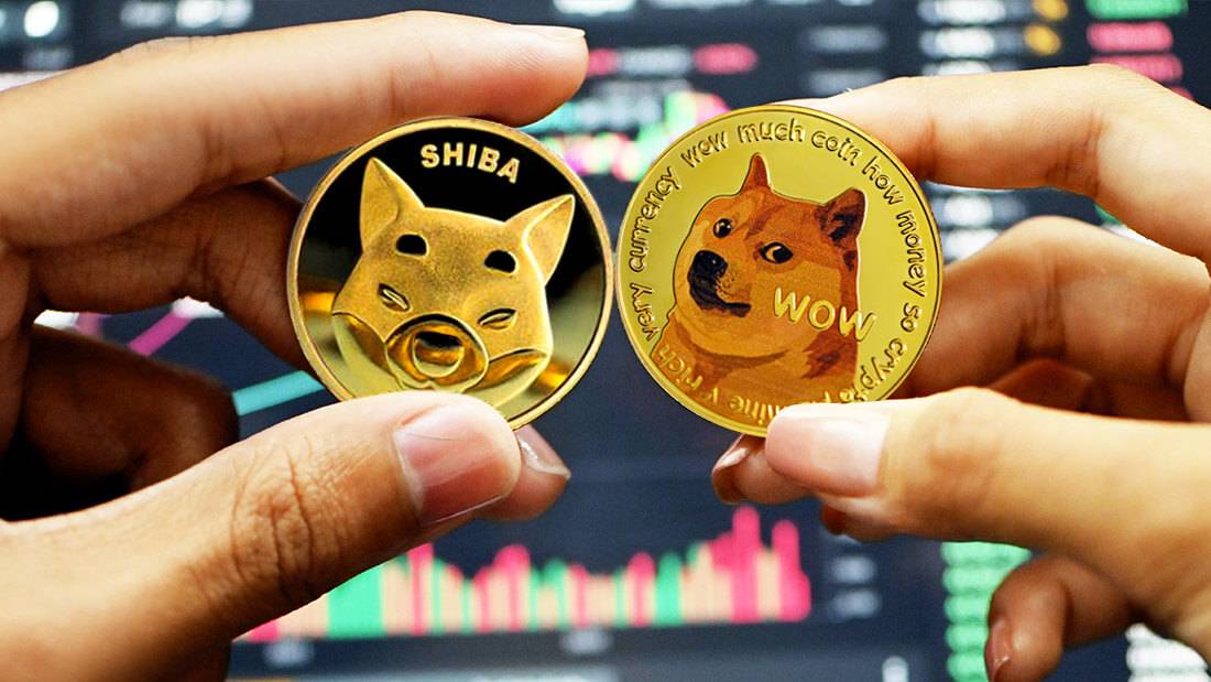 SHIB ve DOGE Öteki Coin’lerden Daha Uygununu Yapabilir Mi?