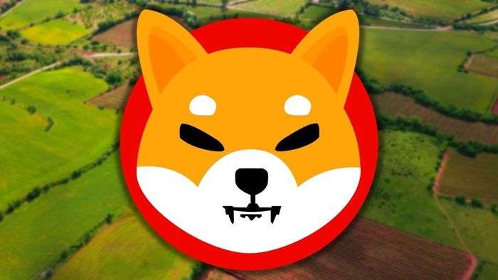 Shiba Inu Duyurdu: Büyük Gelişme Bu Hafta Sonu!