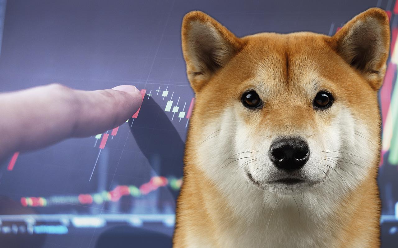 Shiba Inu İçin Yarın Büyük Gün! İşte Detaylar…
