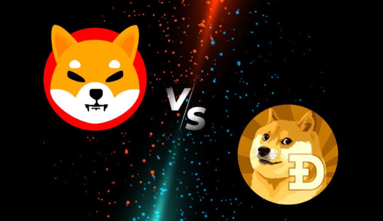 Shiba Inu ve DOGE: Yatırımcılar Bu Düzeylere Hazırlanmalı!