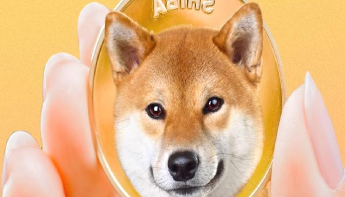 Shiba Inu ve Öbür Kriptolar Artık Bu Uygulamada da Kabul Ediliyor
