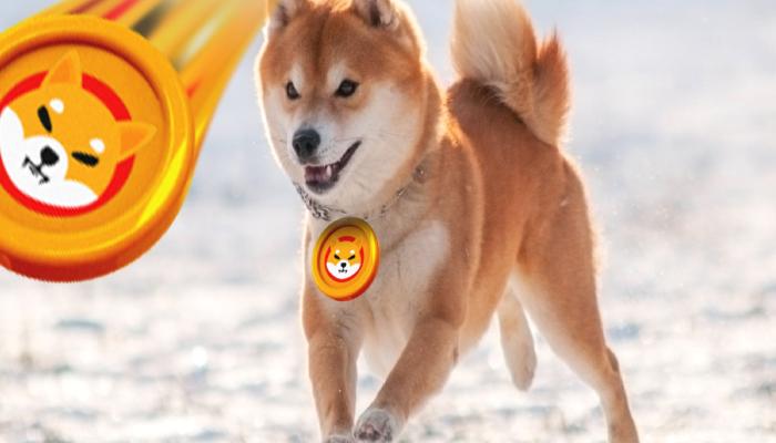 Shiba Inu’da Epik Patern: SHIB İçin Bu Düzeyler Geliyor!