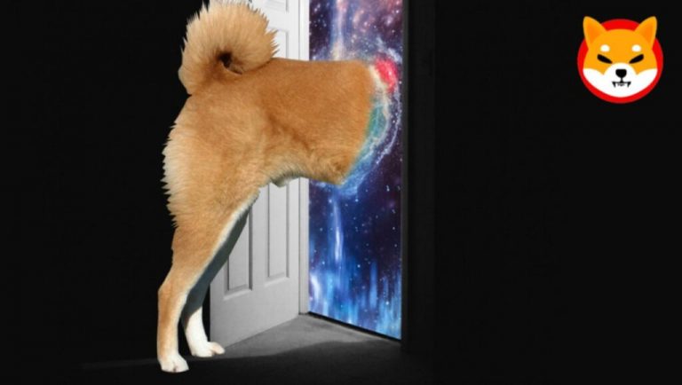 SHIB’den Sevindiren Kestirim: Shiba Inu Durmayacak!