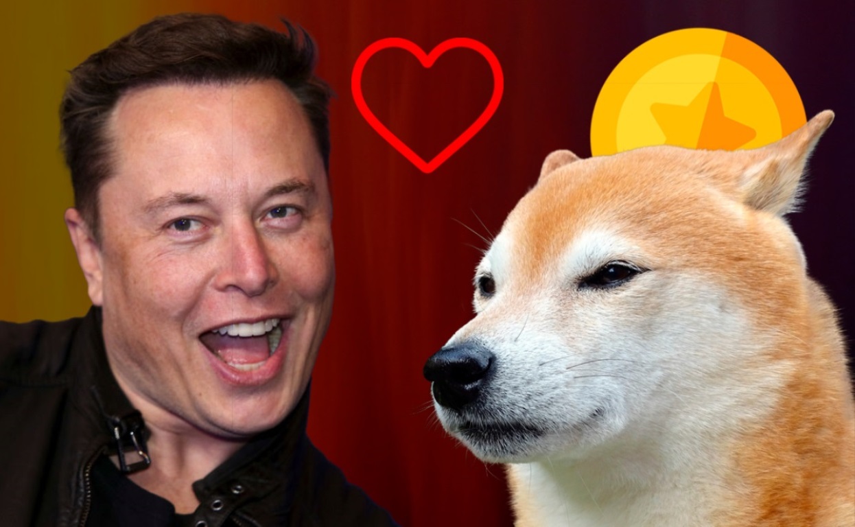 Silinen Tweetlerden Elon Musk ve SHIB Kontağı Çıktı!