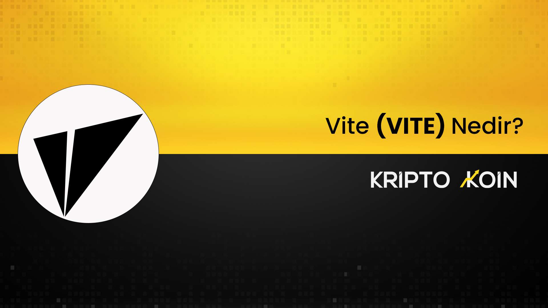 Vite Coin Nedir? VITE Nasıl Alınır?