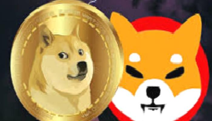 2 Analist: SHIB ve Dogecoin Bu Düzeylere Oynuyor!