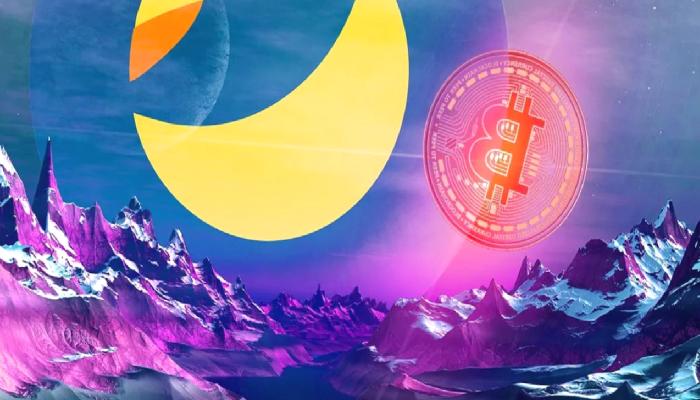 6 Uzman Yorumladı: Terra ve BTC Çöküşünde Merak Edilenler!