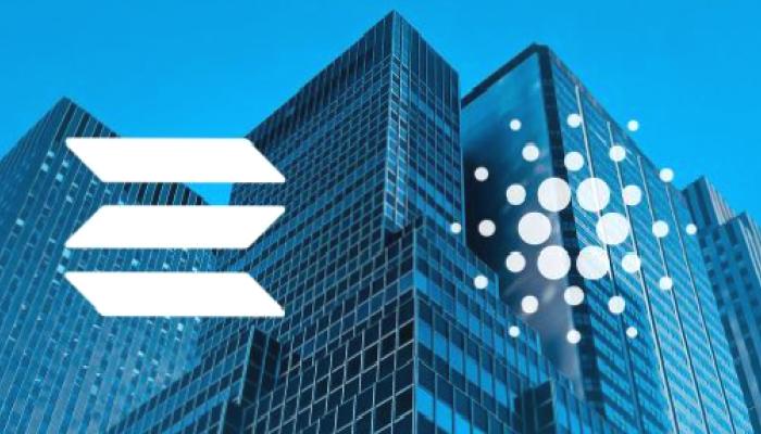 Açıklandı: Solana ve Cardano Mayıs’ta Bu Düzeyleri Görebilir!