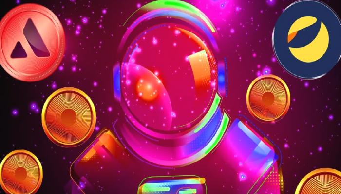 Analist: Ayı Piyasasında AVAX ve Bu 4 Altcoin’e Bakın!
