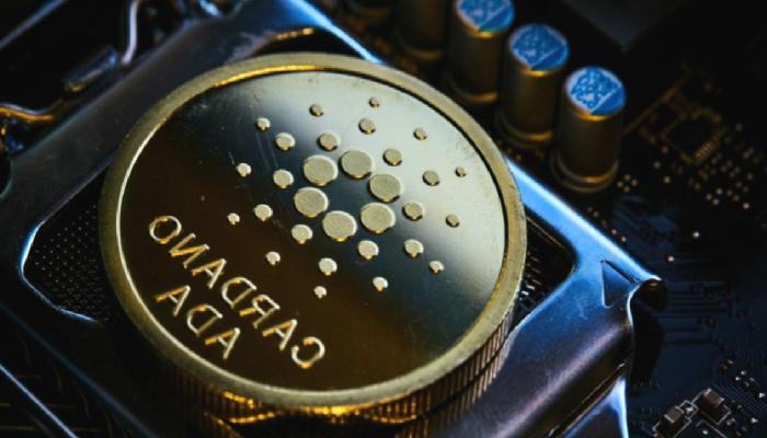 Analistten En Gerçekçi Cardano Kestirimi: Üzgünüm, Bu Seviyeler!