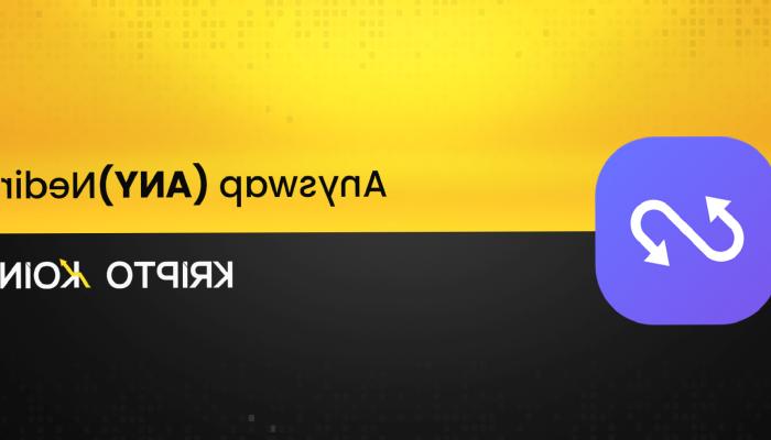 Anyswap Nedir? ANY Coin Nasıl Alınır?
