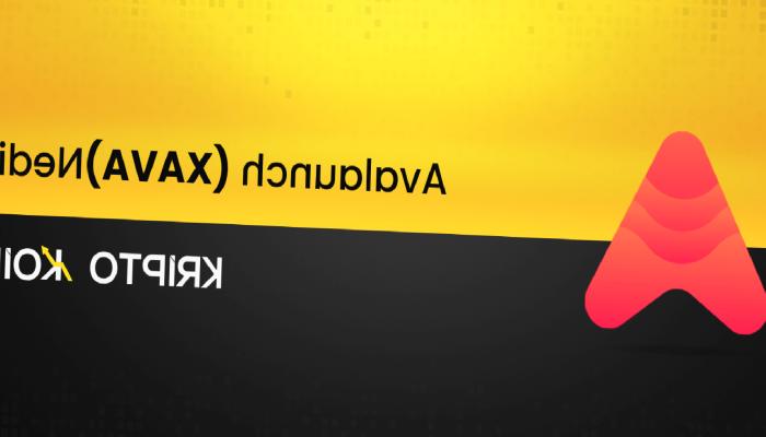 Avalunch Nedir? XAVA Ne İşe Yarar?