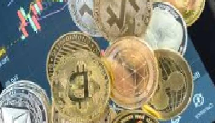 Ayı Piyasasında En Güzelini Yapan 3 Altcoin Muhakkak Oldu!