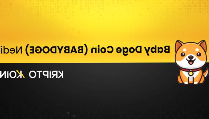 Baby Doge Coin Nedir? BABYDOGE Nasıl Alınır?