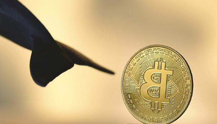 Balinalar Bitcoin Düşerken Bu 8 Altcoin’e Koşuyor!