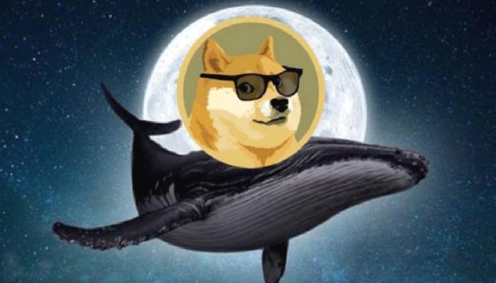 Balinalar Dogecoin ve Bu Altcoin’lere Para Pompalıyor!