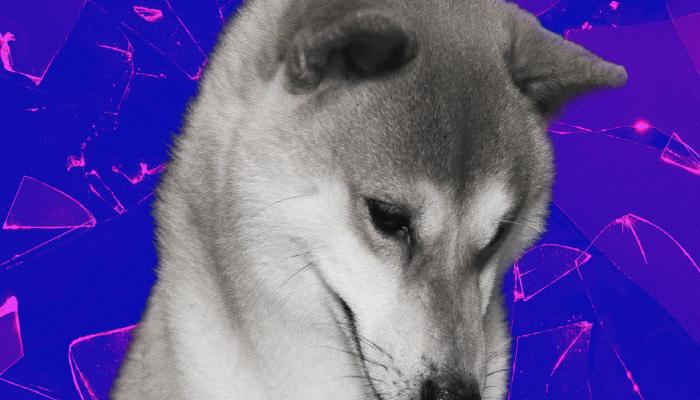 Binance’e Shiba Inu Davası: Yargıç Bloke Buyruğu Verdi!