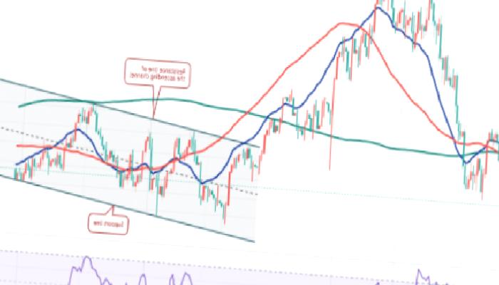 Bitcoin, DOGE ve Bu 8 Altcoin İçin Taze İddialar Geldi!
