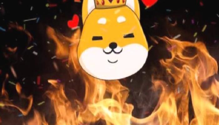 Bu 2 Altcoin’de Burn Çılgınlığı: Coin’ler Meyyit Cüzdanlara Aktı!