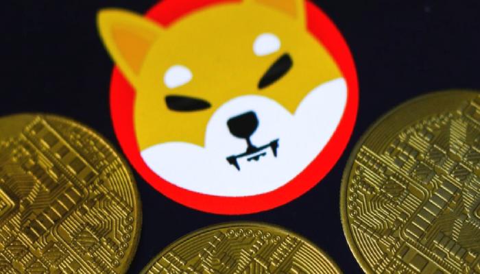 Büyük Balinalar Cüzdanlarına 130,5 Milyarlık Shiba Inu (SHIB) Ekledi