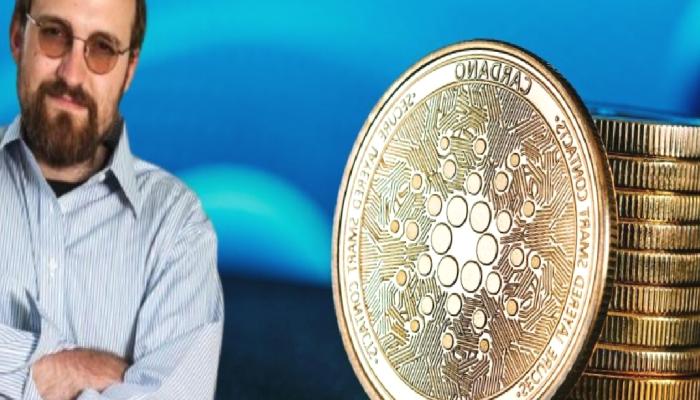 Cardano Mucidi Cevapladı: Bu Altcoin Dolandırıcılık Mı?