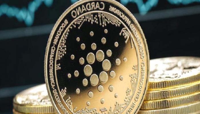 Cardano Mucidinden ADA Varsayımı: Ayı Piyasasındayız! Hiçbir Haber…