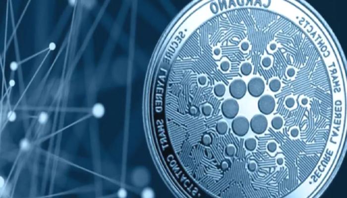 Cardano Topluluğu, Toplumsal Medyada Süratli Büyüme Gösteriyor