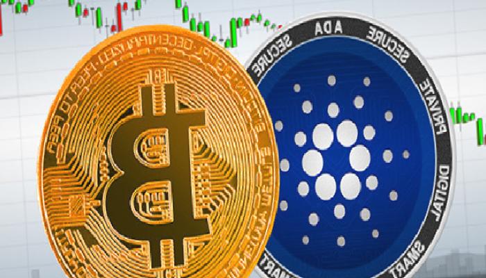 Cardano ve Bitcoin’in Haftalık Amaçları Belirli Oldu!