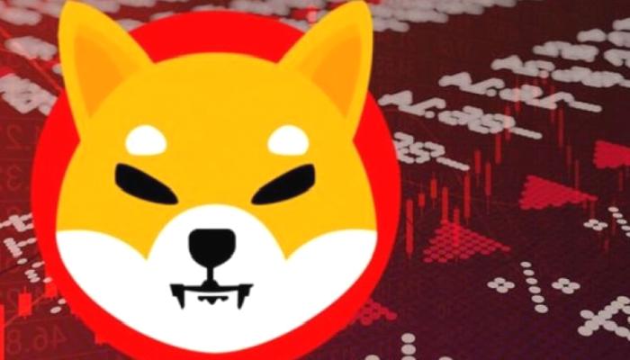 CK1 Nedir? Shiba Inu (SHIB) Büyük Duyuru Yapacak!