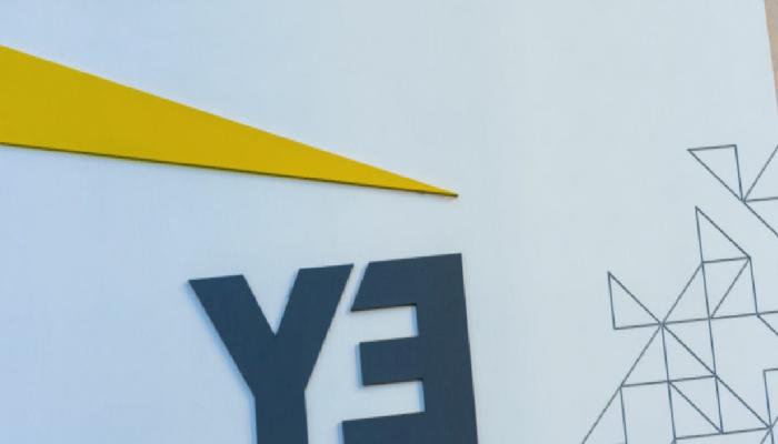 Danışmanlık Devi, Bu Altcoin’le El Sıkıştı: Birinci Proje Geldi!