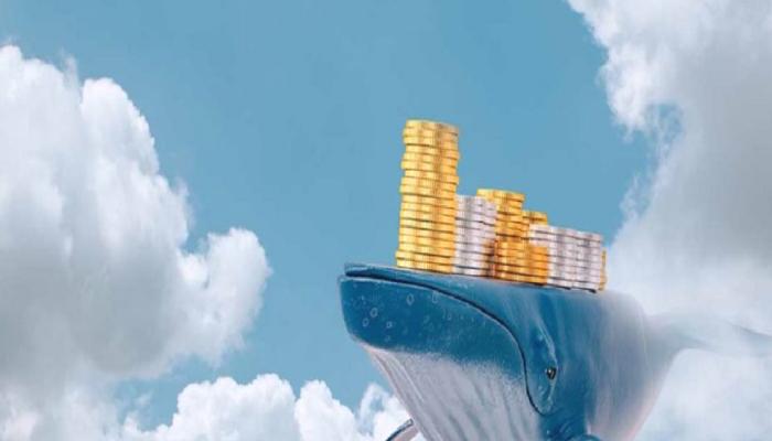 Dev Balinalar, Çöküşte Bu DeFi Altcoin’lerine Koşuyor!