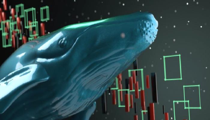 Dev Balinaların Yeni Avı Bu Metaverse Coinler: İşte Liste!