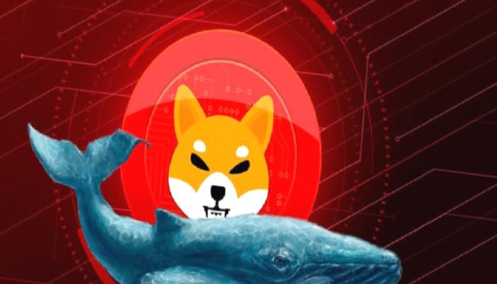 Dev SHIB Balinasının Yeni Avı Bu Altcoin: Milyonluk Aldı!
