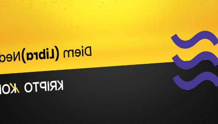 Diem Nedir? Libra Ne İşe Yarar?