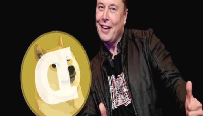 DOGE Aşığı Elon Musk Korkuttu: Daha Berbata Gidebilir!
