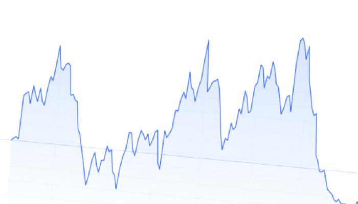 DOGE Aşığı Elon Musk’tan Yatırım Tavsiyesi: Panik Yapmayın!