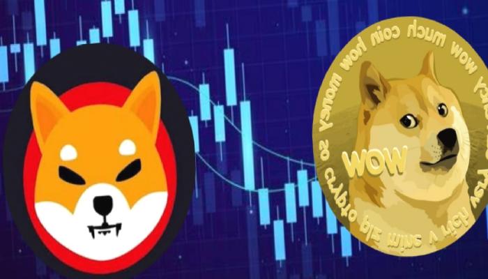 DOGE ve SHIB Kritik Eşikte: Bunlara Dikkat Etmelisiniz!