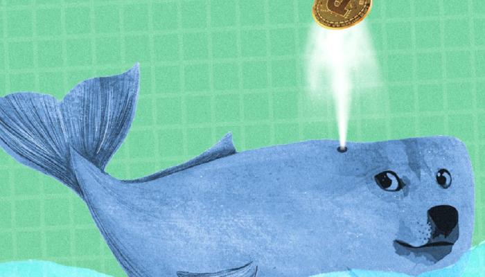 Dogecoin Balinaları, Bu 10 Altcoin’den Alıyor: İşte Liste!