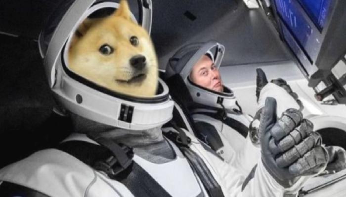 Dogecoin, Elon Musk’ın SNL Çıkışının Akabinde Tepesinden %87 Düşüş Yaşadı