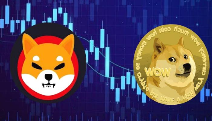 Dogecoin ve Shiba Inu Varsayımı: Bu Düzeylere Hazır Olun!