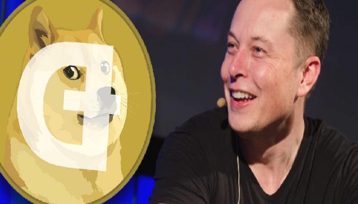 Elon Musk: Dogecoin’in (DOGE) Para Ünitesi Olarak Potansiyeli Var