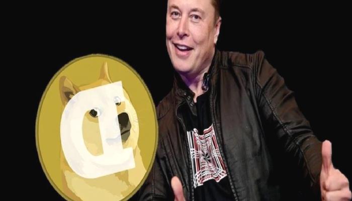 Elon Musk ve DOGE Mucidi Bu Altcoin’leri Hedef Aldı: Çöp!