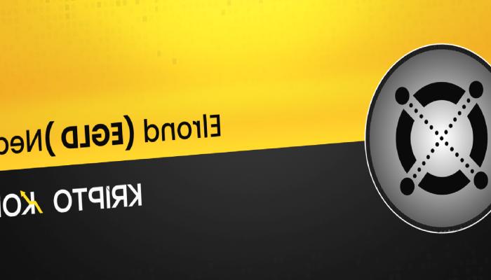 Elrond Nedir? EGLD Coin Nasıl Alınır?