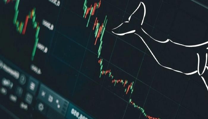 En Büyük 100 Balina, FTT ve Bu Altcoin’lerden Stokluyor!