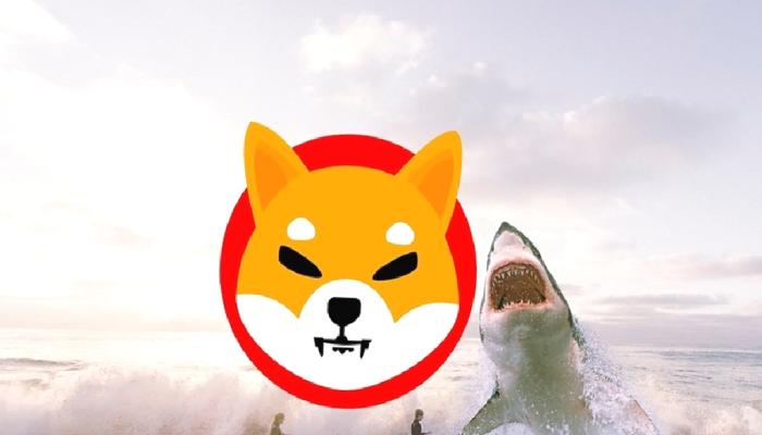En Büyük 2000 Balina, SHIB ve Bu 7 Altcoin’den Aldı!