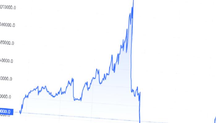 En Büyük 2.000 Balina, SHIB ve Bu 7 Altcoin’den Aldı!