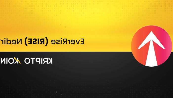 EverRise Nedir? RISE Ne İşe Fayda?