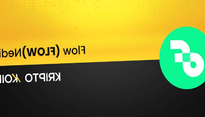 Flow Coin Nedir? FLOW Nasıl Alınır?